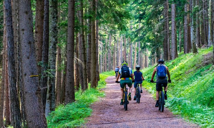 Residence Terry | Appartamenti Tremosine Lago di Garda - Bike Extra Weekend -25%